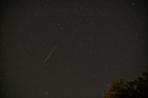 Perseid (21)